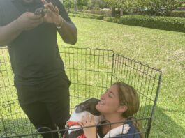 West Palm Beach Welcomes Palm Beach County Animal Care and Control
