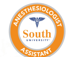 Savannah AA Program 100% Success Rate